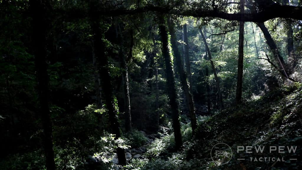 5. The Woods Wow