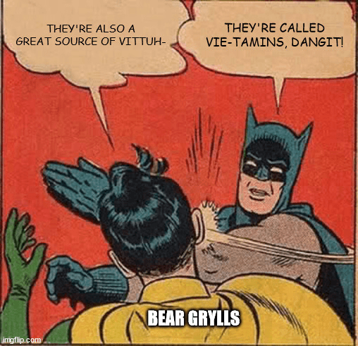 Bear grylls vitamins meme