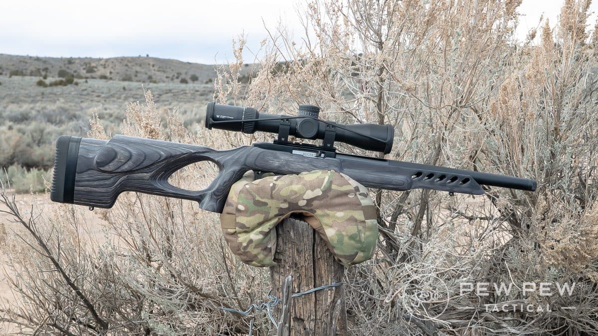 Ruger 10/22 Target Lite