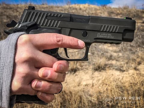 Sig Legion in Hand