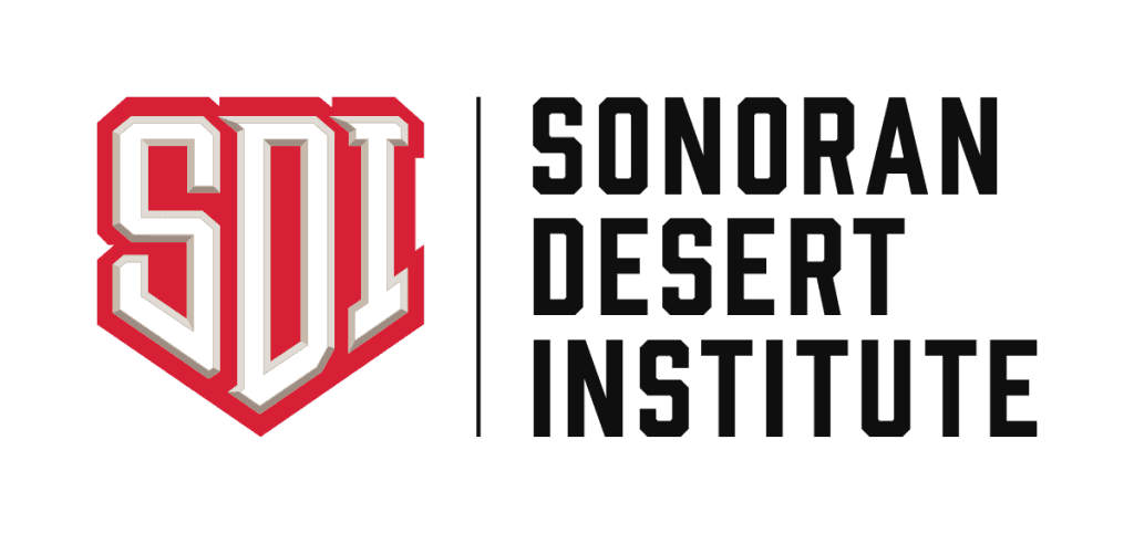 SDI logo