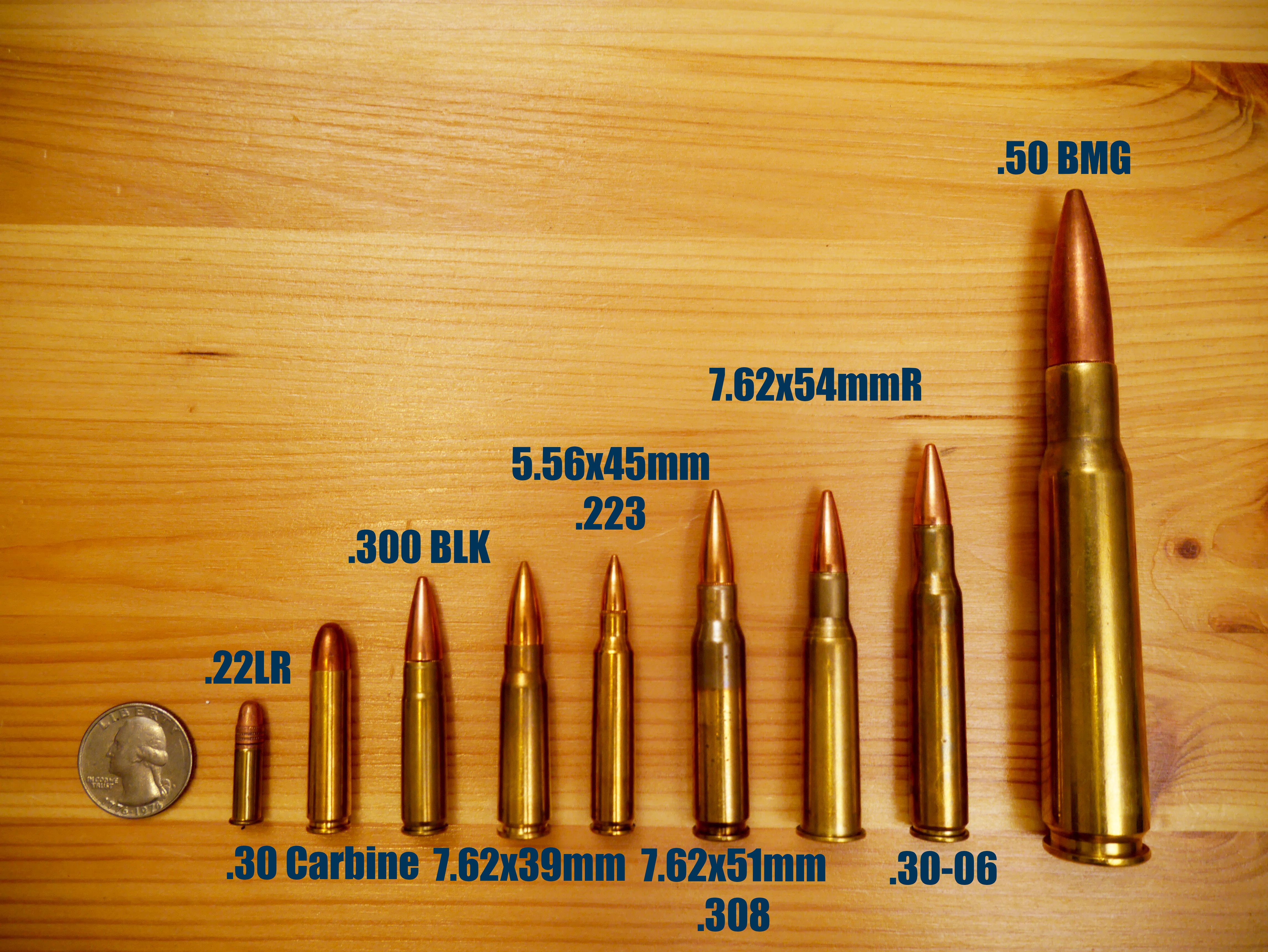 Bullet Size Chart Rifle Poster Bullet Classic Cartridge Ammo Cartridges 