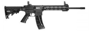 Product Image for Smith & Wesson M&P 15-22 Sport