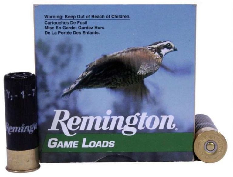 Product Image for Remington #9 2-3/4" Bird Shot