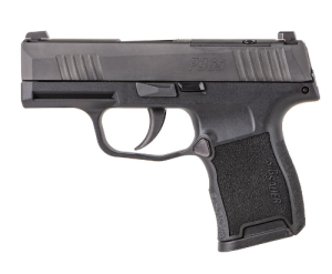 Product Image for Sig Sauer P365 380