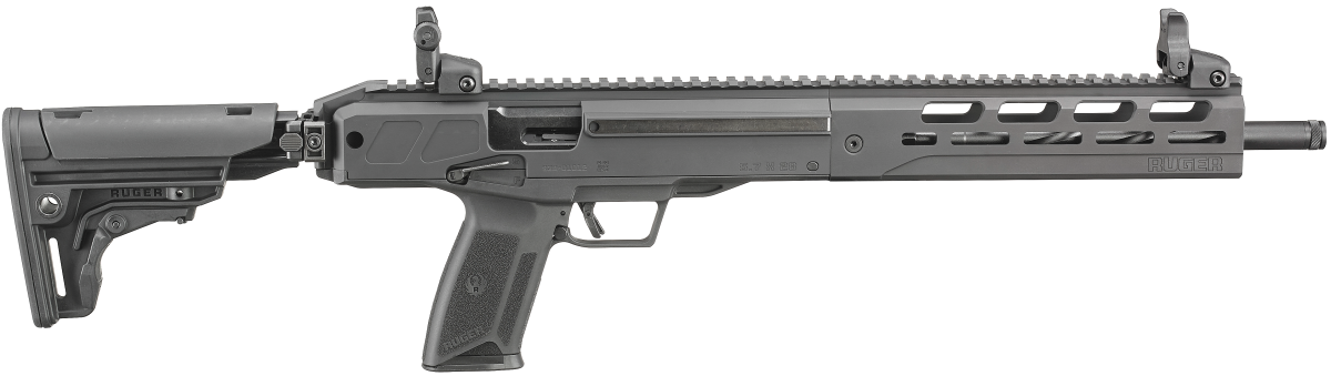 Product Image for Ruger LC Carbine