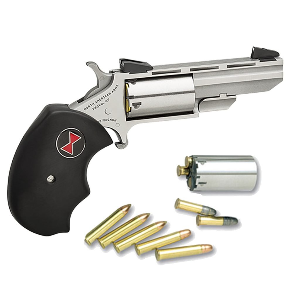 Product Image for North American Arms Black Widow .22 LR/.22 Magnum