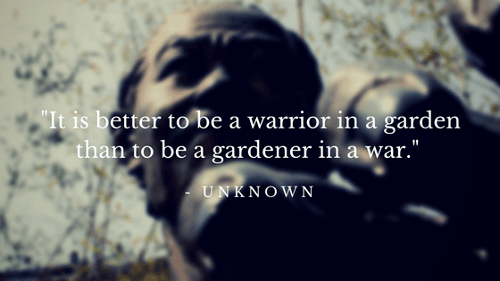 Warrior Quote