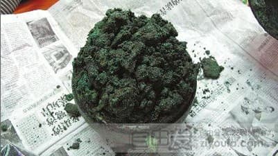 2000 year old Chinese jerky