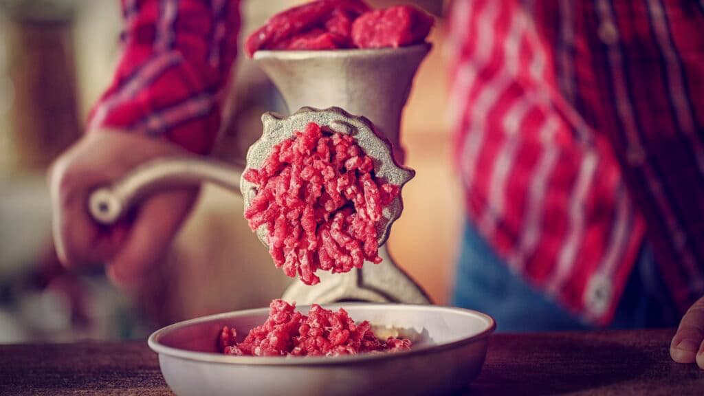Meat grinder