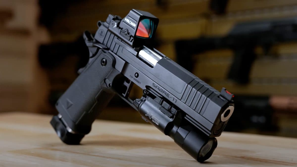 Palmetto State Armory Sabre-11
