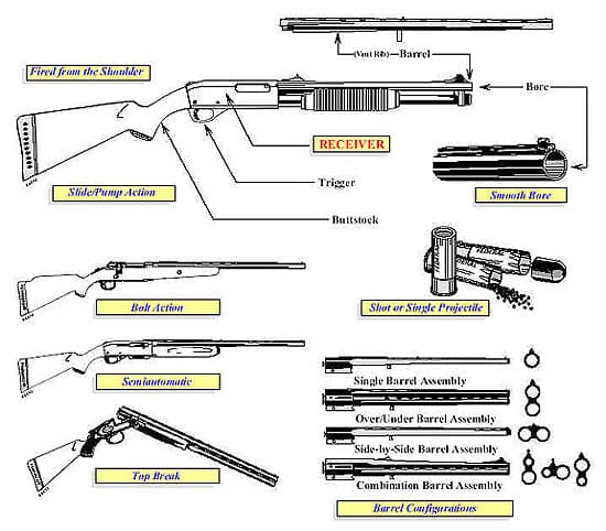 Shotgun Diagram