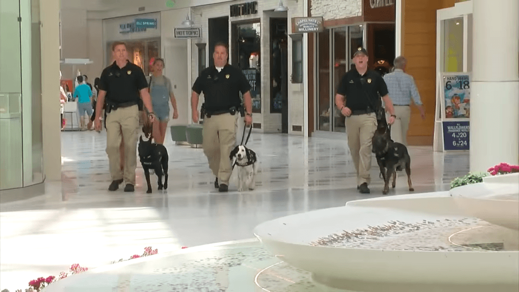 Mall Of America K-9 Security Unit Keeps Shoppers Safe 0-32 screenshot
