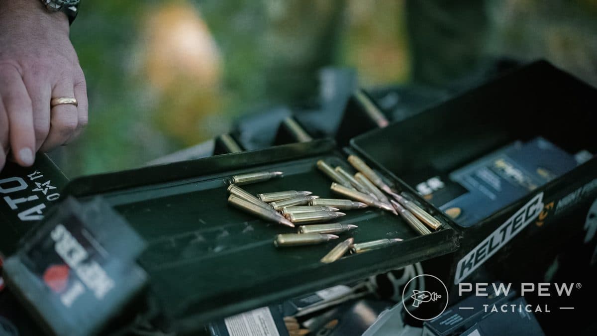 Budget AR-15 Ammo