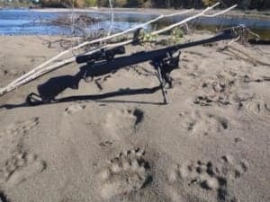 Post Thumbnail Image for post: Best Large-Bore Hunting Rifles: Big Guns & Big Game