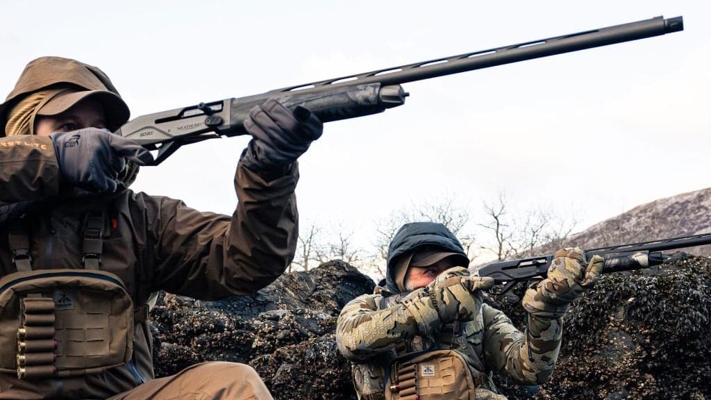 Post Thumbnail Image for post: New Product Highlight: Weatherby Sorix