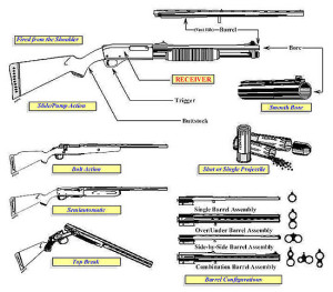 3 Types of Guns: Pistol vs Rifle vs Shotgun - Pew Pew Tactical