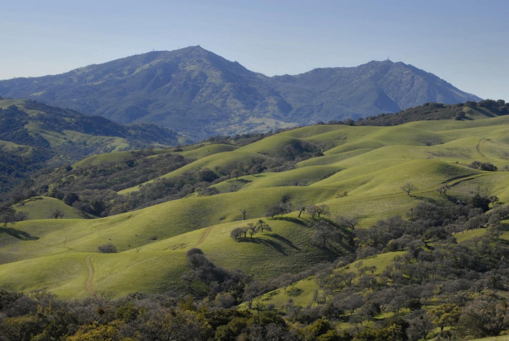 California Boar Hunting Land