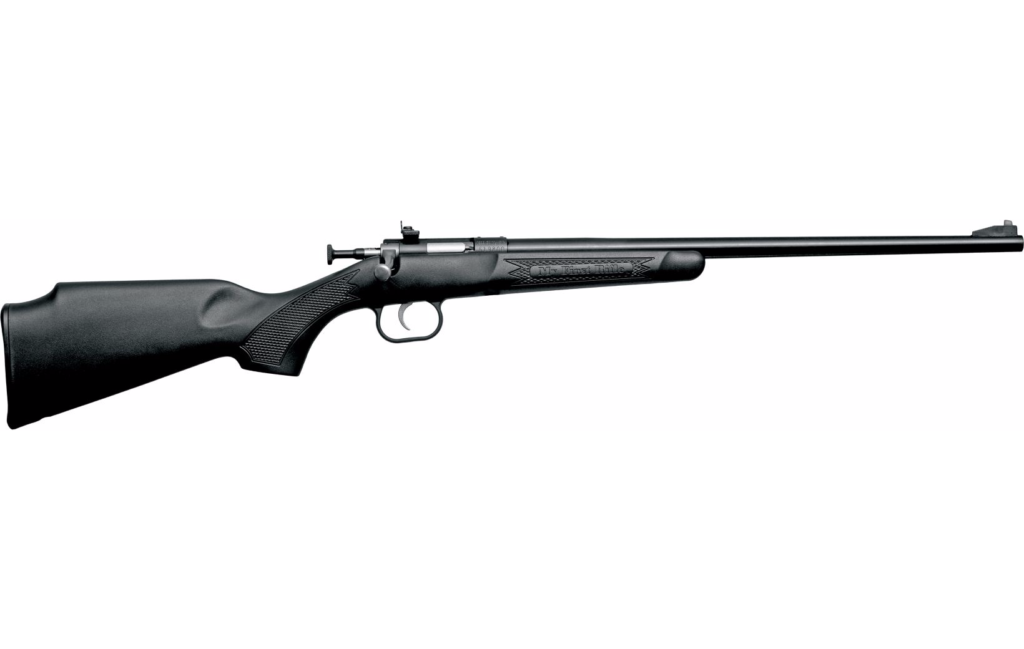 Crickett 22 LR