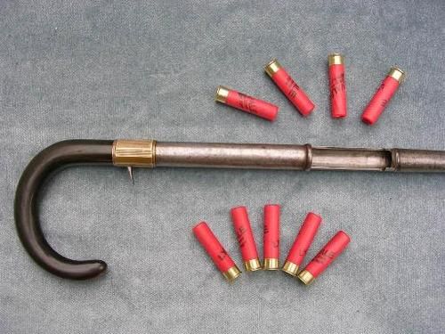 Shotgun Cane