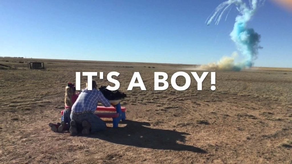 tannerite gender reveal 1024x576