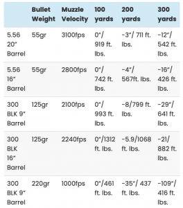 .300 Blackout (BLK) vs. 5.56: What's Best For You? - Pew Pew Tactical