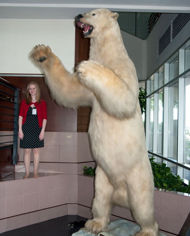 12 foot polar bear killed with a .44 mag