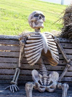 Waiting for companies to provide the new Prop 65 warnings