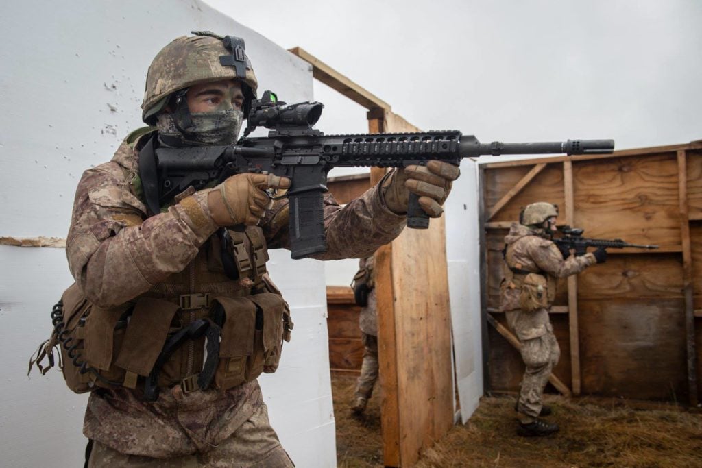 1st Battalion Royal New Zealand Infantry Regiment and LMT Rifle