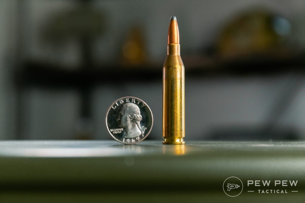 Best Coyote Hunting Cartridges: Rimfire, Centerfire & Shotgun