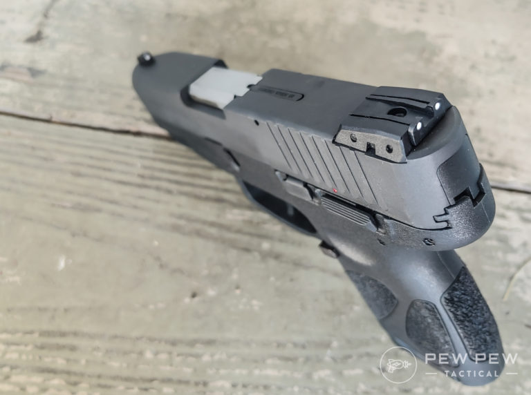 Taurus G2S sights