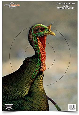 birchwood casey turkey target