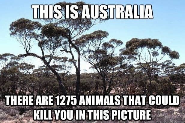 Australia Meme