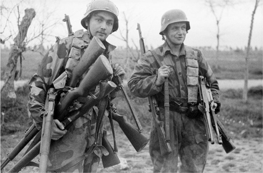 German soldiers with captured American Garands