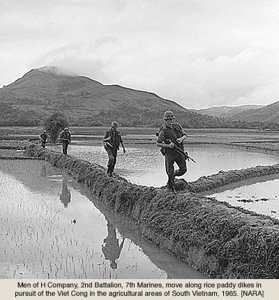 USMC Rice Field Vietnam 1965