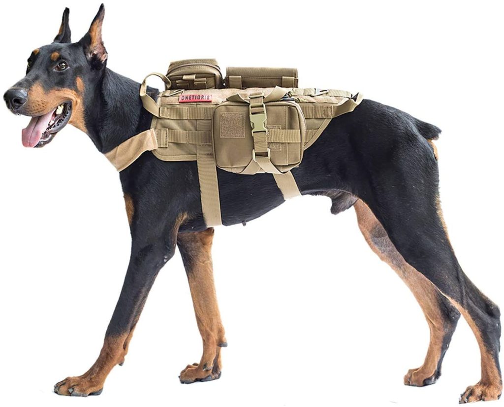 Dog Bug Out Bags: Best Survival Backpacks & Item List - Pew Pew Tactical