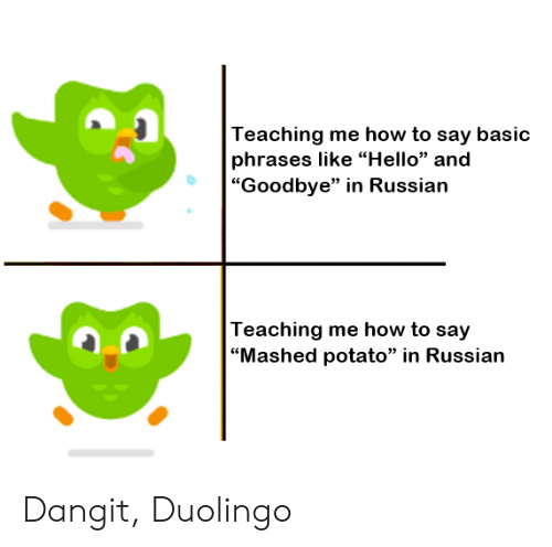 Duolingo Russian Meme