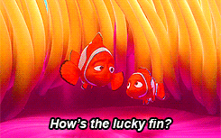 Finding Nemo Fin