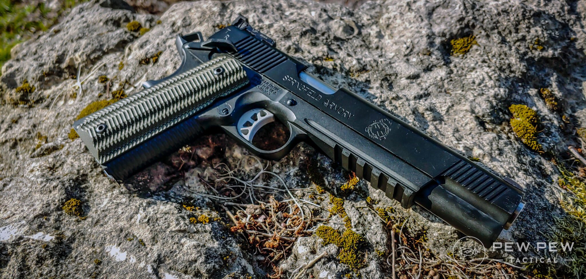 Best 1911s in 10mm When .45 Is Not Enough Pew Pew Tactical