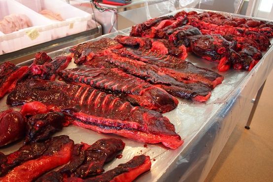 seal meat, greenland