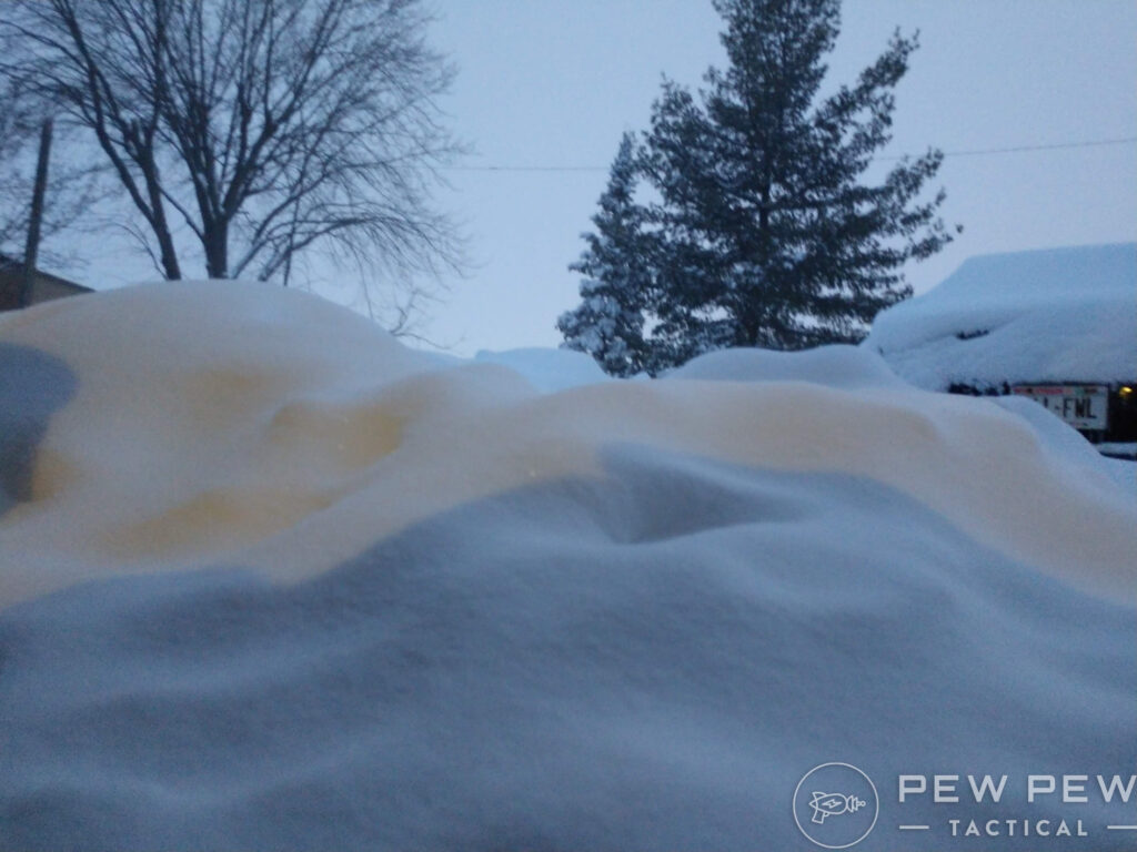 Snow Drifts and Trees