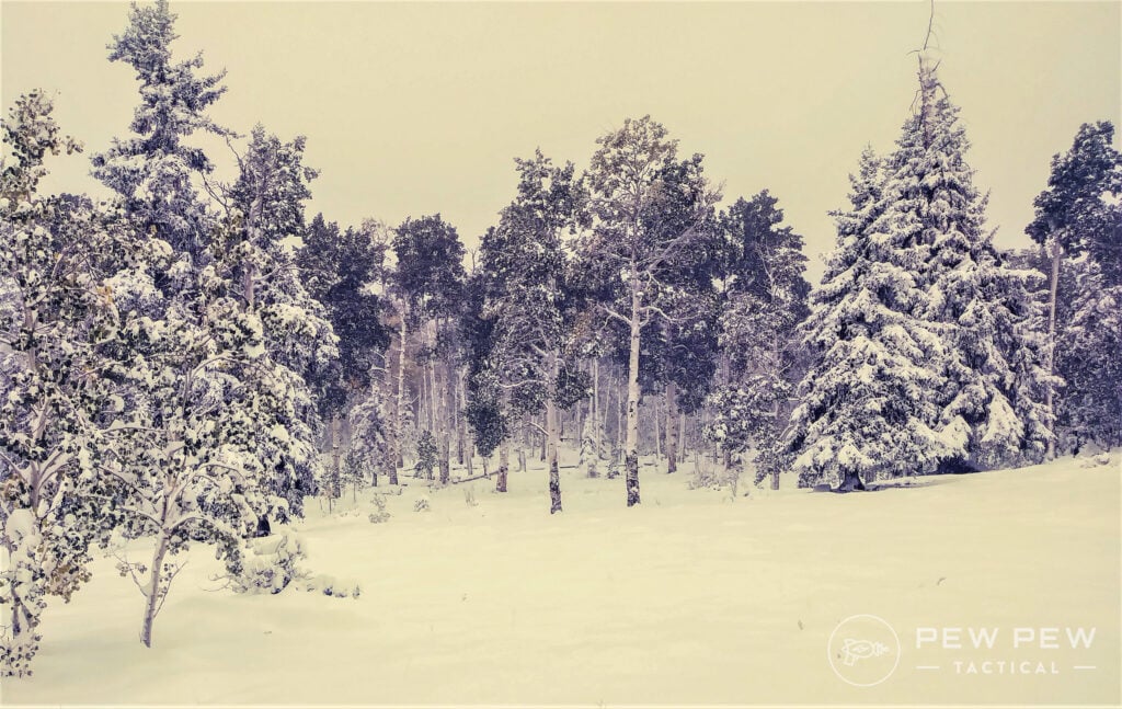 Snowy Colorado Hunt