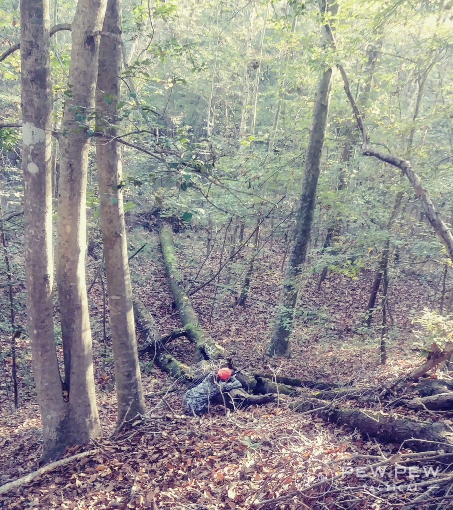 Hanging out in a river bottom, waiting for bucks