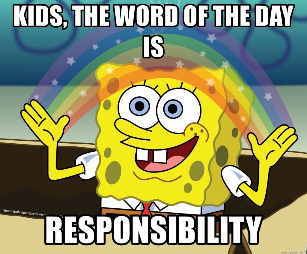 Kids Responsibility