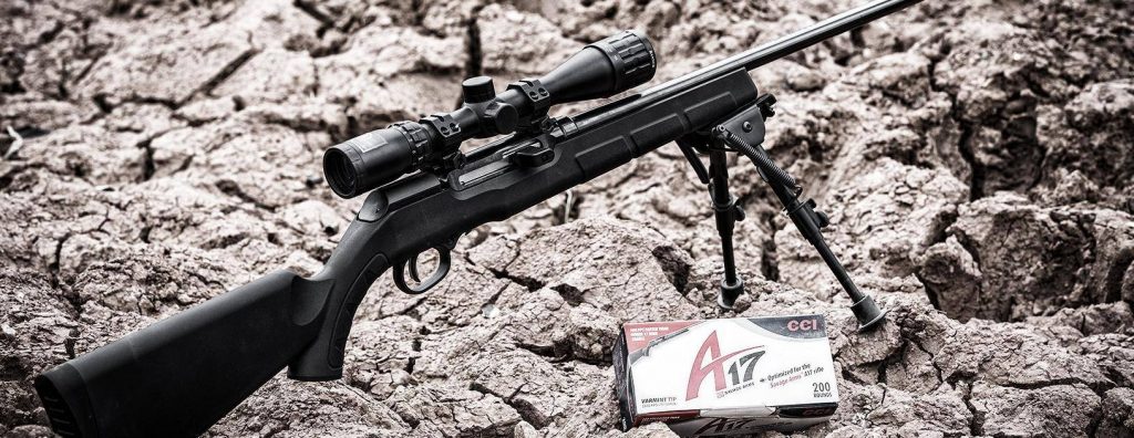 Savage Arms A17