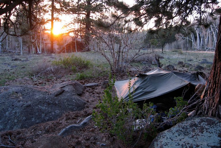 10 Best Wilderness Survival Courses [All Skill Levels] Pew Pew Tactical