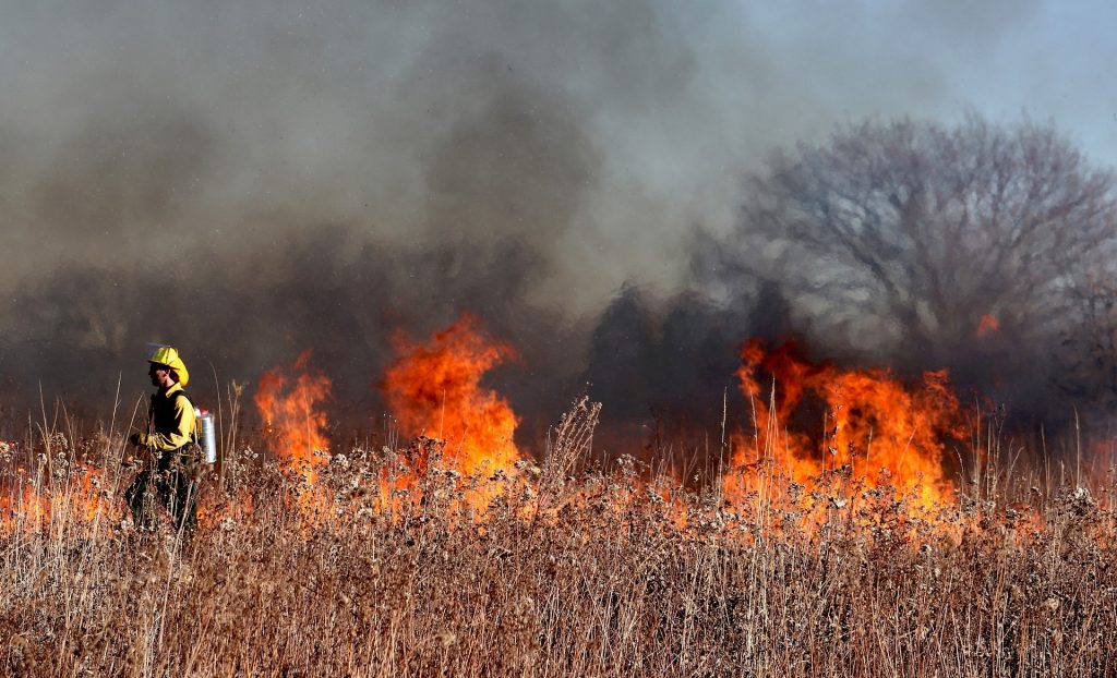 Firefighter and a grass fire