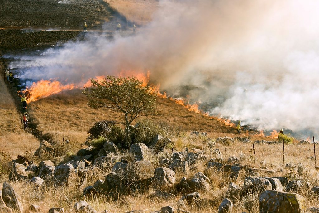 Firefighters working on a preventative grass fire