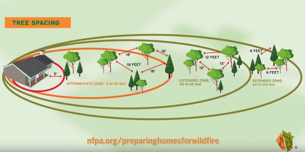 Firewise Princple Tree Spacing