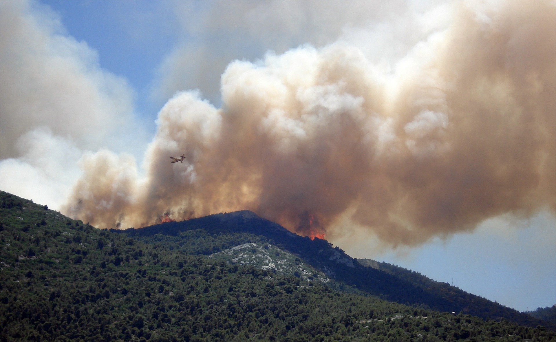 How To Survive a Wildfire - Pew Pew Tactical